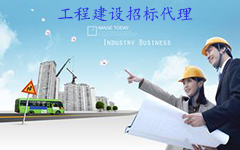 工程建設(shè)項目招標代理機構(gòu)資格標準