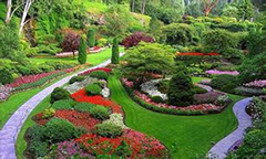 城市園林綠化資質(zhì)標準