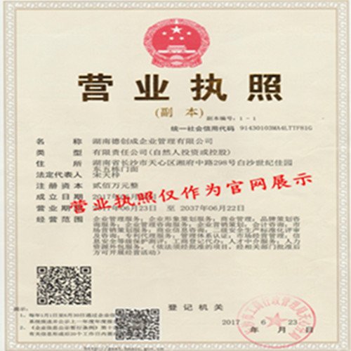 湖南德創(chuàng)成營業(yè)執(zhí)照_副本1.jpg